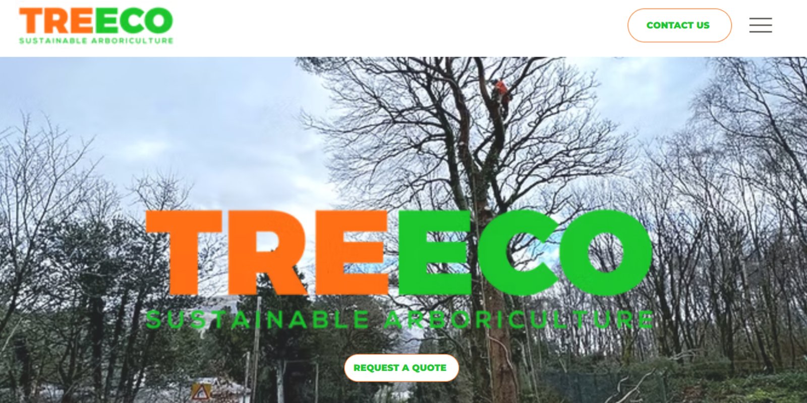 Zara Consulting Group website developed by KemotechTz Tanzania